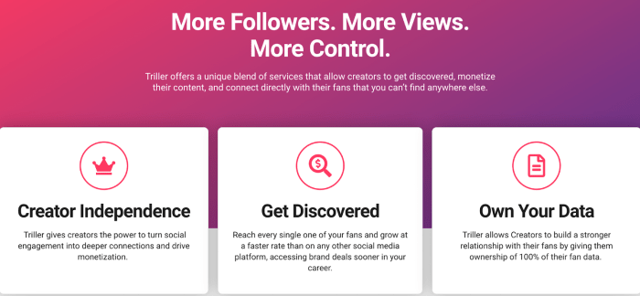 Tiktok restrict accounts problematic topics for you feed
