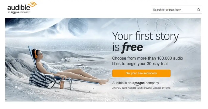 Audible black friday sale get audible premium plus for only 6 a month