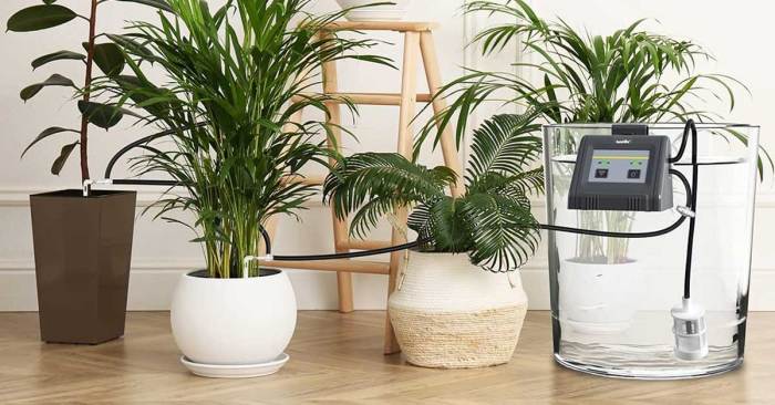 Everyday bots sing to your plant to automatically water it