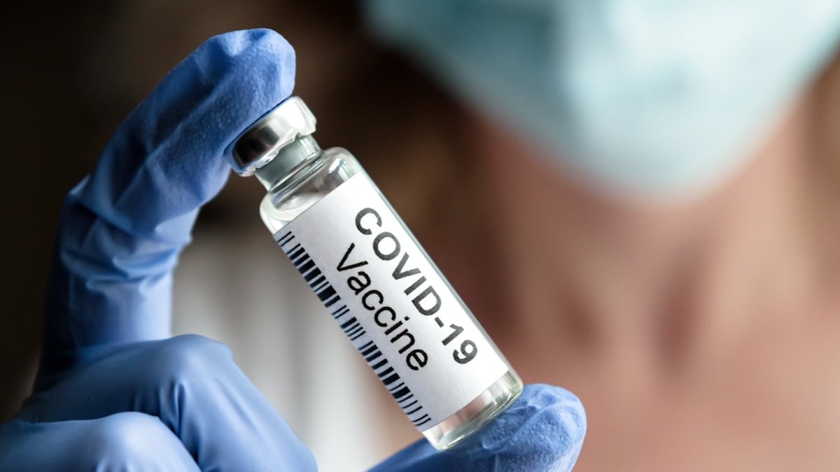 Trials vaccine recruit washu slu medicine diseases infectious Great apes covid 19 vaccine san diego zoo