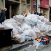 Disgust emotion vomit rats cockroaches new york city ranking