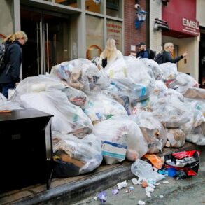 Disgust emotion vomit rats cockroaches new york city ranking