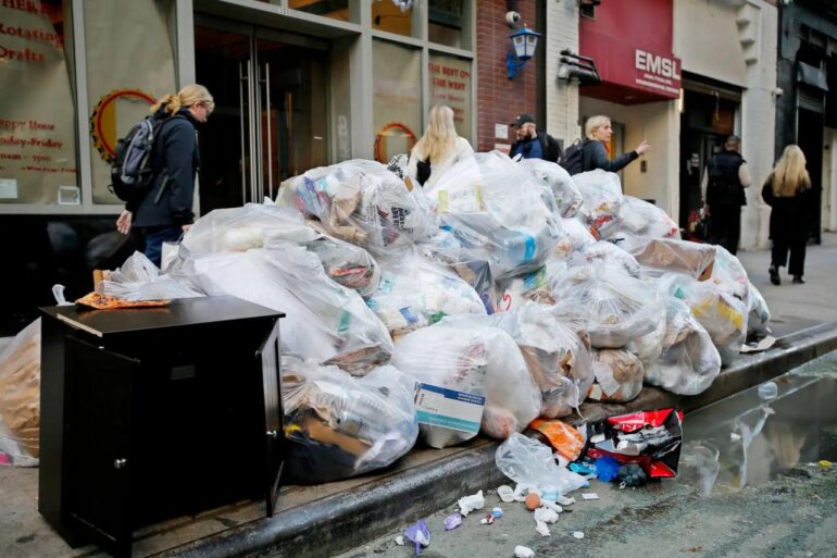 Disgust emotion vomit rats cockroaches new york city ranking