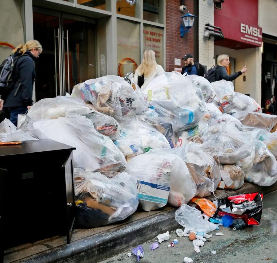 Disgust emotion vomit rats cockroaches new york city ranking