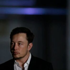 Tesla sues former employee software dropbox