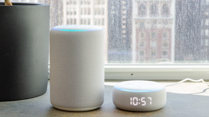 Amazon echo available everyone