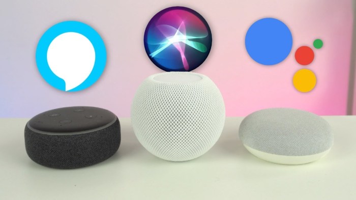 Rolle lose feste physik weg kraft mal Google assistant to lose some set of features