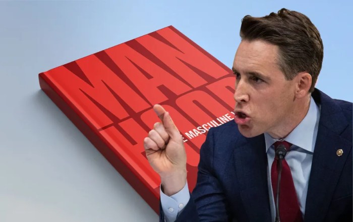 Huawei google rubio van hollen tom cotton josh hawley android