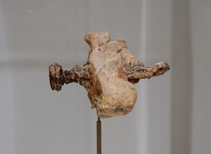 Skeleton with nail in heel offers evidence of roman crucifixion