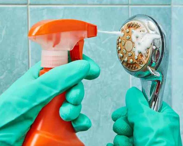 Clean your gross showerhead now with this easy trick