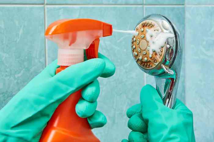 Clean your gross showerhead now with this easy trick