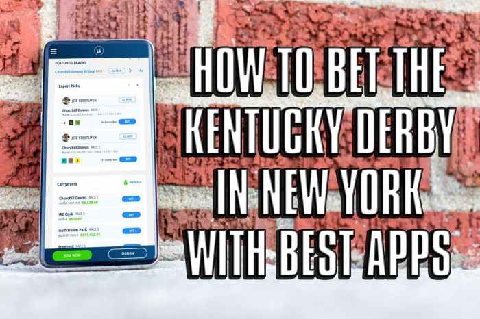 How to place a kentucky derby horse bet with the twinspires app