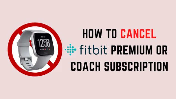 Coach fitbit subscription myhealthyapple previously Fitbit coach premium cancel android ios iphone how to