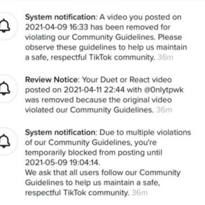 Tiktok restrict accounts problematic topics for you feed
