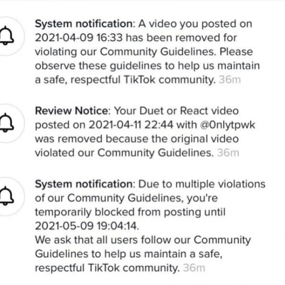 Tiktok restrict accounts problematic topics for you feed