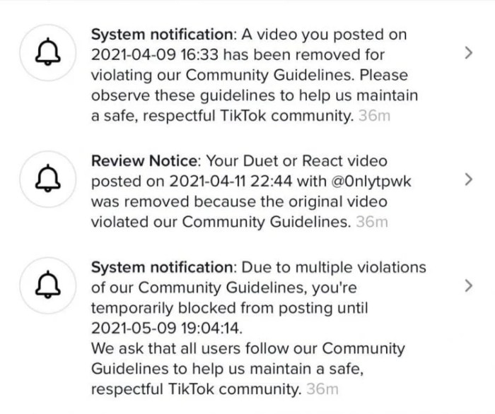 Tiktok restrict accounts problematic topics for you feed
