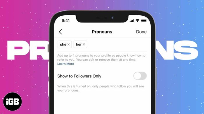 Twitter pronoun instagram app