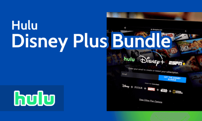 Disney plus hulu star bundle