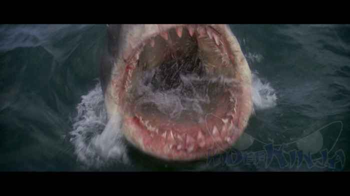 Grab jaws on blu ray and digital hd for 6