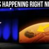 I took elon musks advice and nuked mars in this amazing quest game