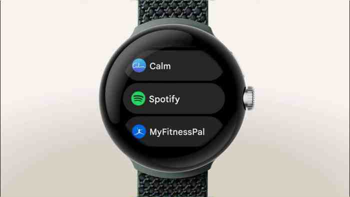 How use pixel watch recorder app