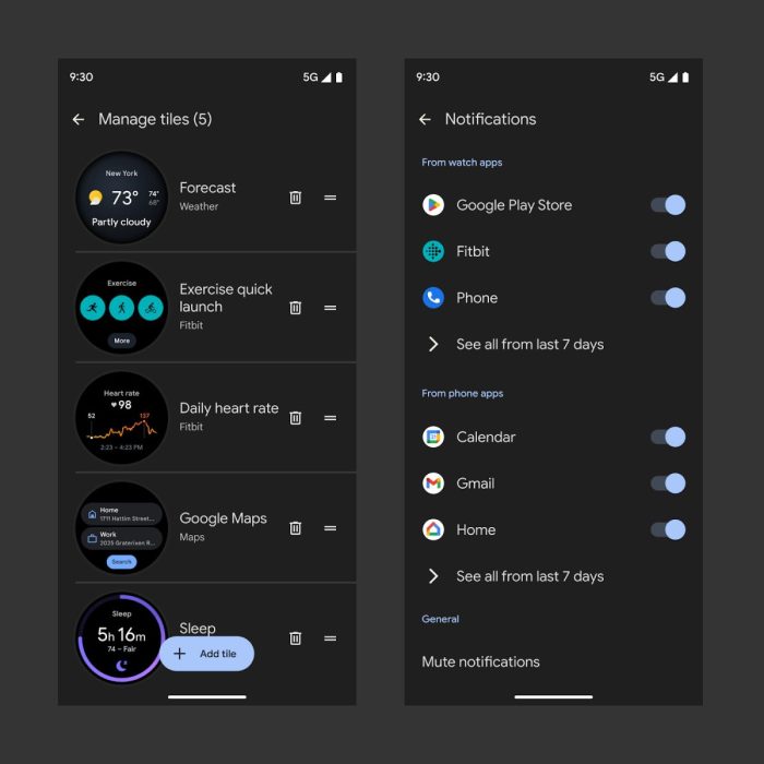 Recorder steps How use pixel watch recorder app