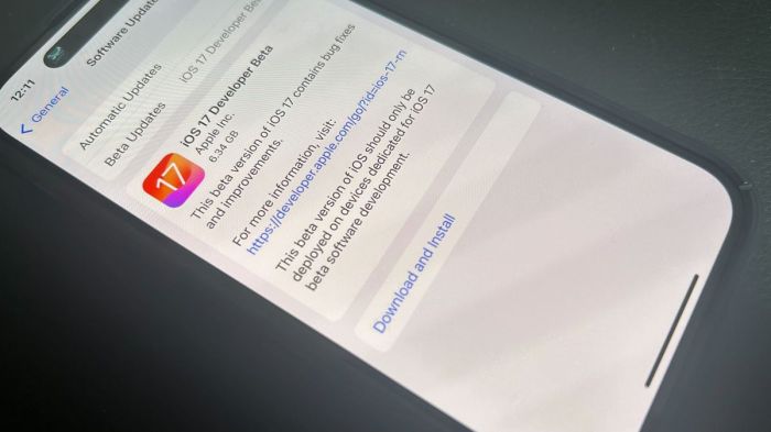 Apple iphone repair state ios 17 5 beta