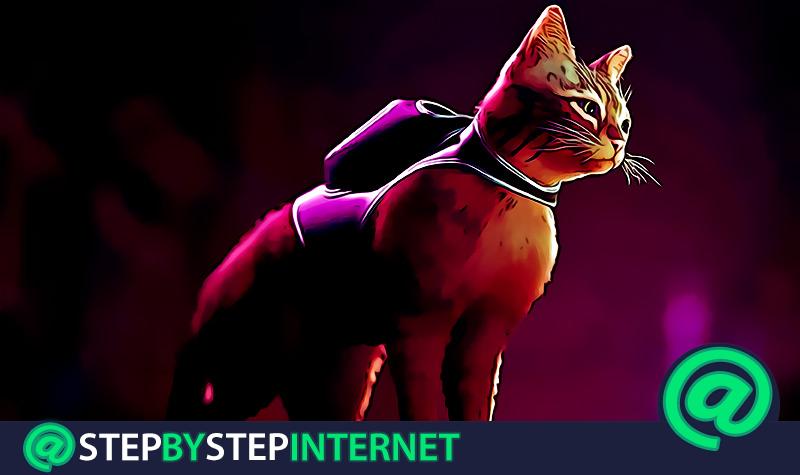 Stray cyberpunk cat simulator release date trailer