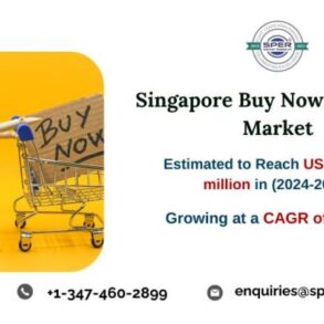 Ugly economics behind apple buy now pay later system bnpl