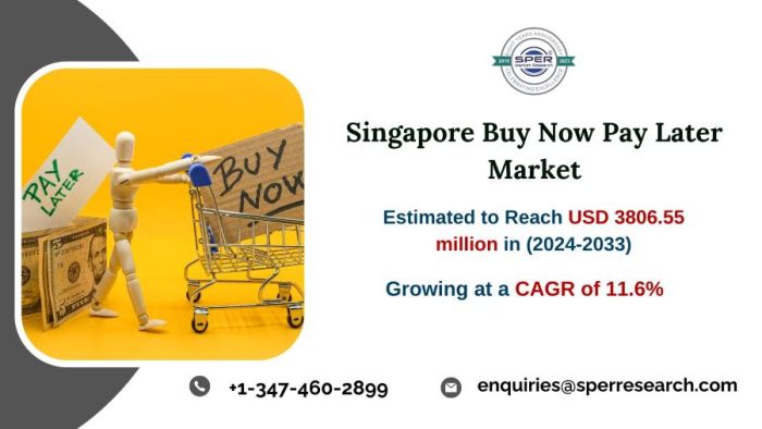 Ugly economics behind apple buy now pay later system bnpl