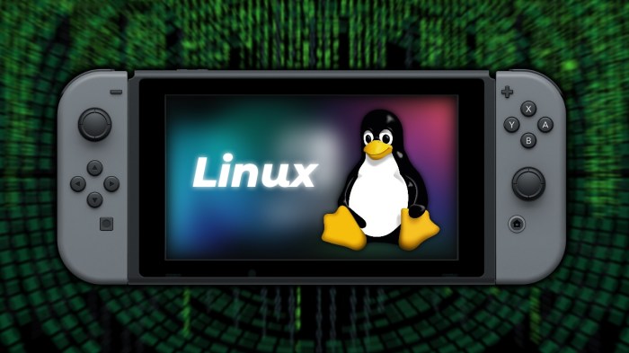 Nintendo switch hack linux fail0verflow