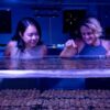 Coral callebaut touch