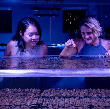 Coral callebaut touch