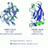 Deepmind alphafold protein database alphabet