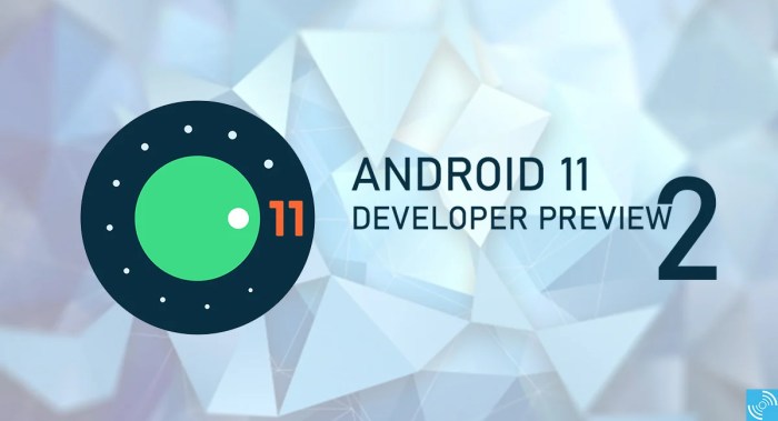 Android 11 Developer Preview 2.1 released - HU Android 11 developer preview 2 release shaken stir call screening hinge angle detection