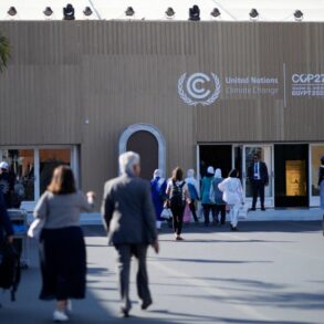 Cop27 united nations climate change conference egypt