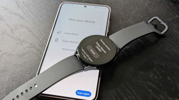 Wear os 35 and one ui watch 45 leak