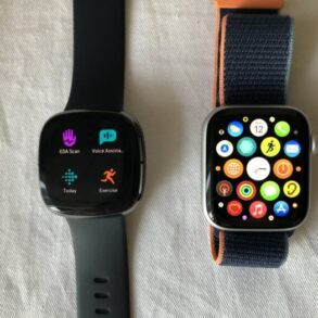 Fitbit sense apple watch wellness data