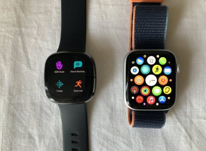 Fitbit sense apple watch wellness data