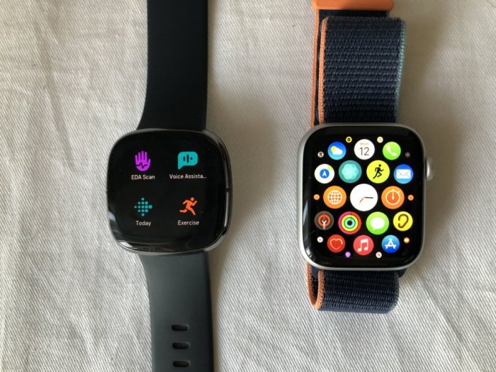 Fitbit sense apple watch wellness data