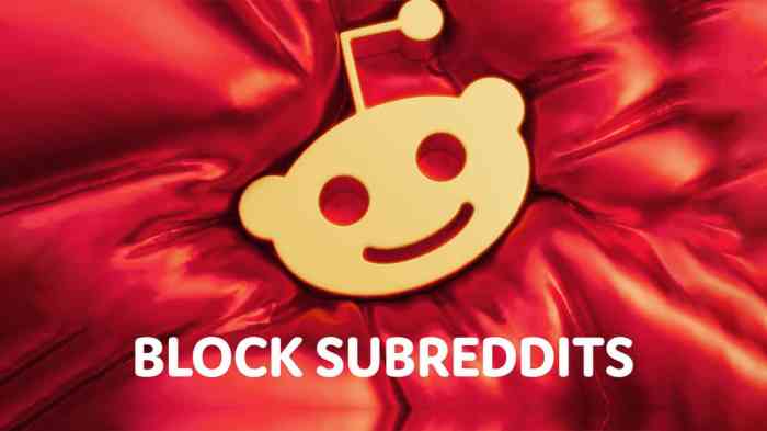 Ohanian alexis reddit observer peaked
