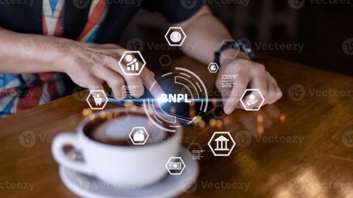 Ugly economics behind apple buy now pay later system bnpl