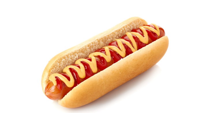 Dog hot plain sandwich dogs sausage council hotdog debate weighs steamed best states united national cart toppings naked 2015 finance Hot dog sandwich debate quiz alignment website