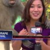 Bbc dad meme traditional comedy news bloopers