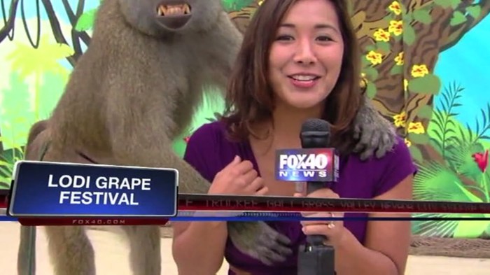 Bbc dad meme traditional comedy news bloopers