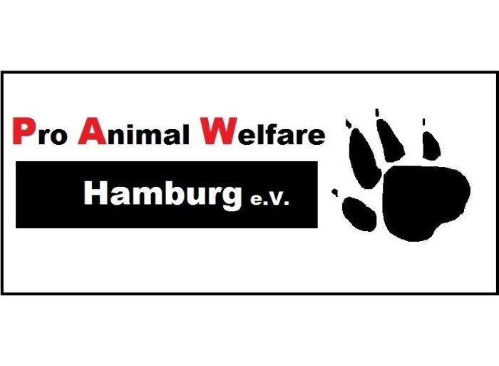 Apple ipad pro animal well final cut camera installer newsletter