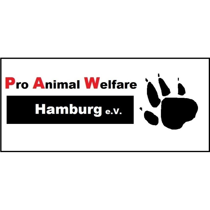 Apple ipad pro animal well final cut camera installer newsletter