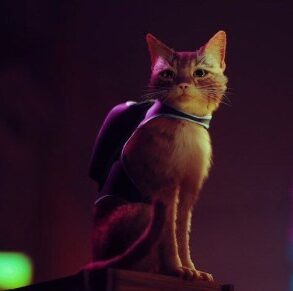 Cyberpunk stray 2022 simulator trailer purr fect receives
