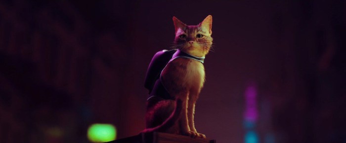 Cyberpunk stray 2022 simulator trailer purr fect receives