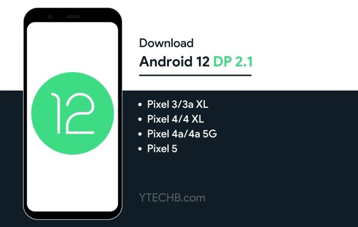 Android 12 developer preview 2 hands on